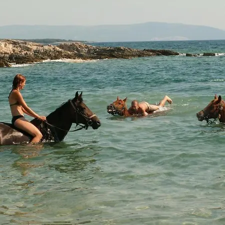 Wellness & Spa, Stella - Heated Pool, Facilities For Children, Close To Beaches And The Sea, Medulin - Istria Villa