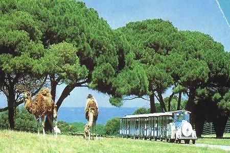 Wellness & Spa, Stella - Heated Pool, Jacuzzi, Table Tennis, Children's Playground, Close To The Sea, Medulin - Istria Pomer