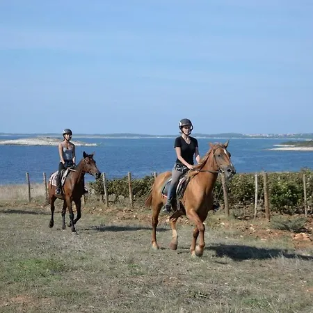 Wellness & Spa, Stella - Heated Pool, Jacuzzi, Table Tennis, Children's Playground, Close To The Sea, Medulin - Istria Villa