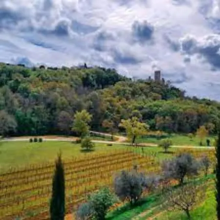 Wellness & Spa, Stella - Heated Pool, Jacuzzi, Table Tennis, Children's Playground, Close To The Sea, Medulin - Istria Villa